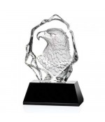 Eagle - Eagle Head Award