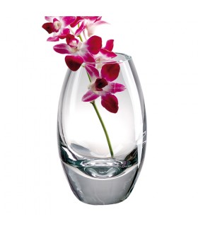Radiant Crystal Vases