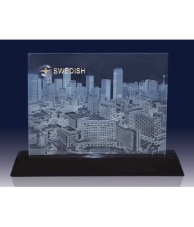 Custom Hospital Building Example