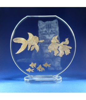 Sweet Dreams of a Hungry Cat