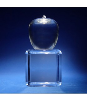 Apple Award Apple Award