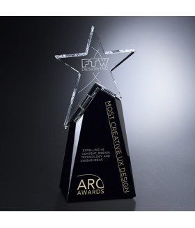 Paramount Star Award
