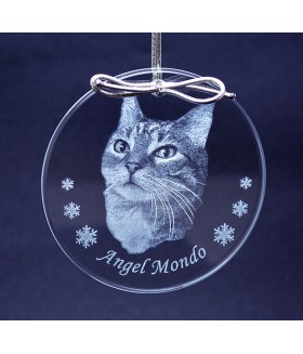 Pet Sub-Surface Laser Ornament
