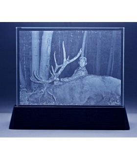 Hunter on Rectangle with Luminary Base, Sub-Surface Laser