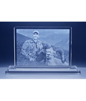 Hunter Rectangle on Clear Base