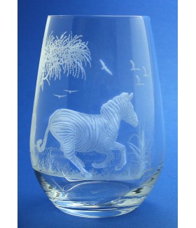 Wildlife Zebra Scene