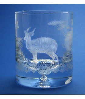 Wildlife Bushbuck Scene