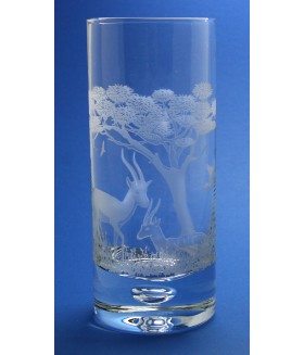 Wildlife Thompson Gazelle Scene