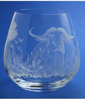 Wildlife Cape Buffalo Scene