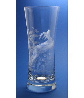 Wildlife Gazelle Scene