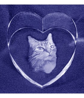 My Favorite Pet, Large Heart,  Sub-Surface Laser