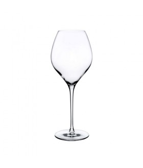 Fantasy White Wine Glasses - Set of 2