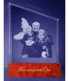 Family Portrait,  Sub-Surface Laser 