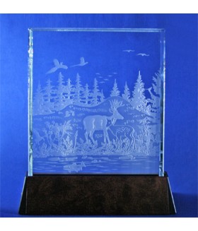 Luminary Nature Design Room Accent